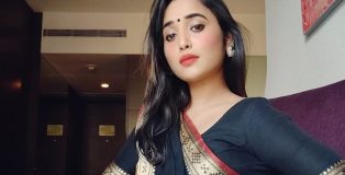 now no campaign for mamta banerjee by rani chatterjee